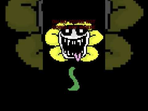 Solar Flare meets and fights Flowey the flower