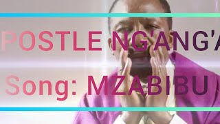 APOSTLE NG'ANG'A -MZABIBU