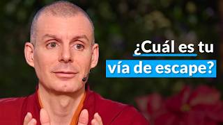 cul Es Tu Va De Escape  Bhavachakra leccin 11  Lama Rinchen