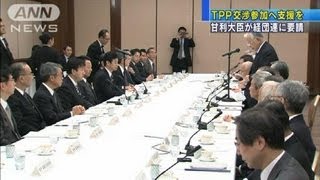 甘利大臣　経団連会長にTPP交渉参加への支援を要請（13/02/25）