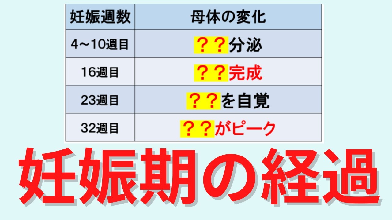 【30分で解説】マイナートラブルなど妊娠期の経過について解説