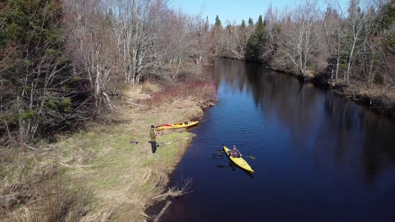 Kayaking Kouchibouguac River YouTube