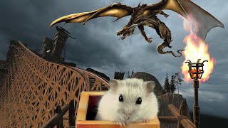 Hamster in Roller Coaster Maelstrom with dragon