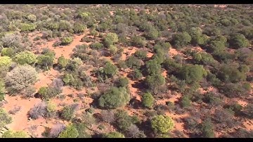 Game counting with drone