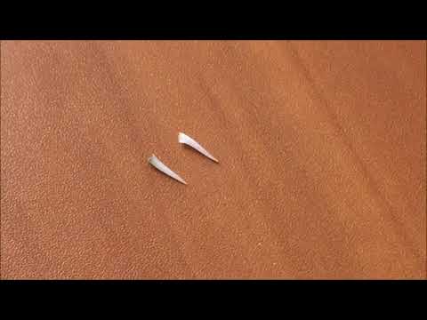 Python teeth