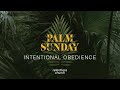 Intentional Obedience | John Gray