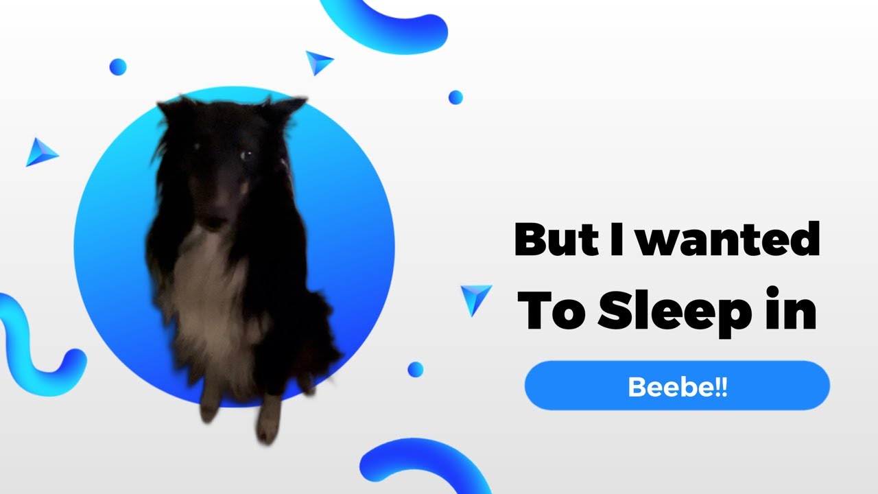 Dog won’t let me sleep in. 