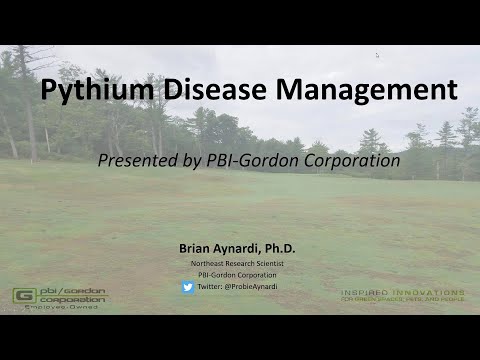 Pythium Disease Management