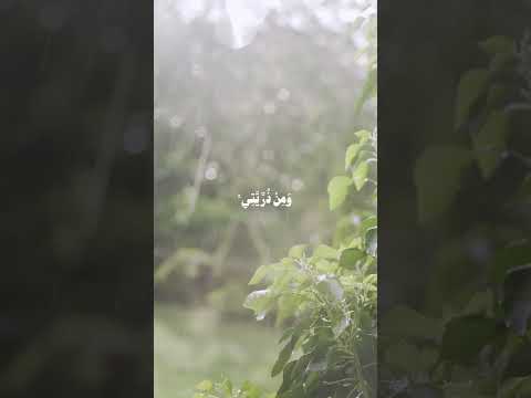 محمد صديق المنشاوي إن ربي لسميع الدعاء محمد صديق المنشاوي 