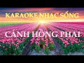 Cánh hồng phai - Karaoke nhạc sống