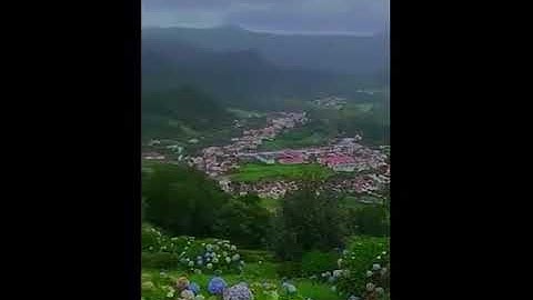 آيات من سورة الرحمن بصوت:بسام الواكد