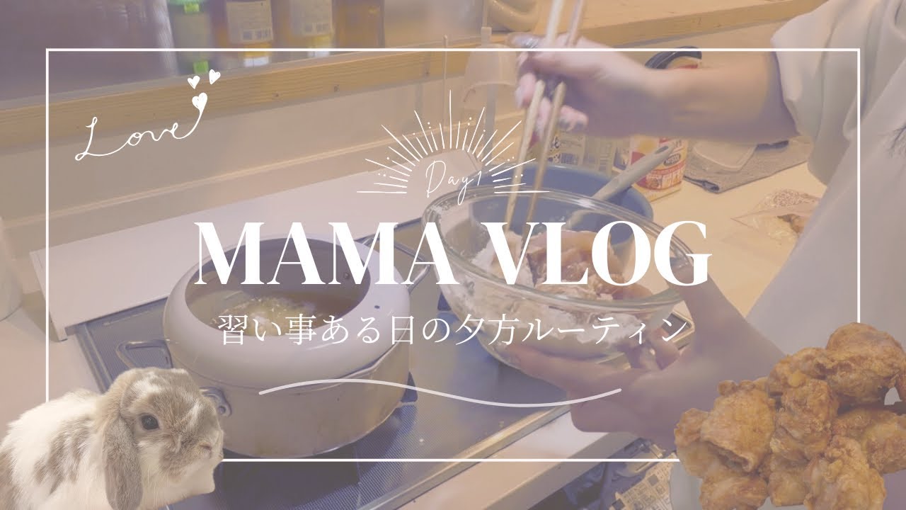 主婦vlog🐰夜ご飯作り┊︎新入りもこちゃん🐰習い事ある日の夕方routine🌆