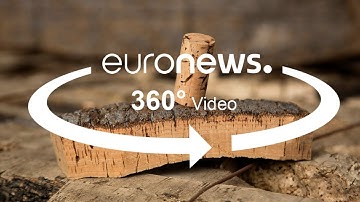 How wine corks are made - and why scientists are raising the alarm
