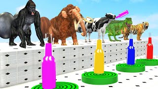 Multi Do Challenge With Gorilla Cow Mammoth Elephant Max Level Squeeze With Cow Mystery Drink Challe