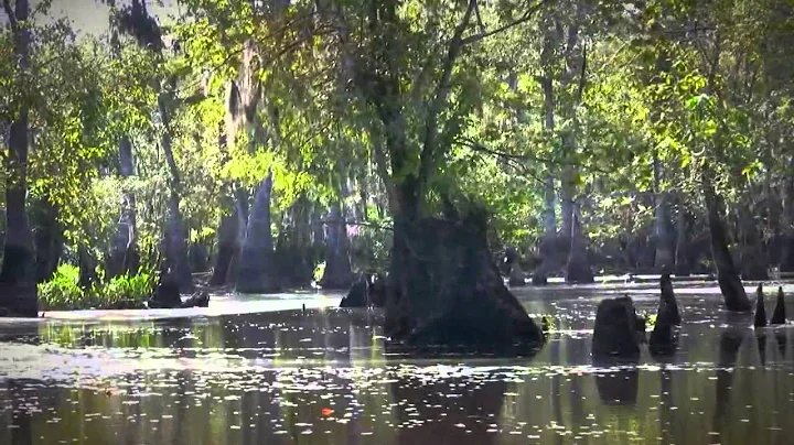 Dennis Ledbetter - Bayou Self