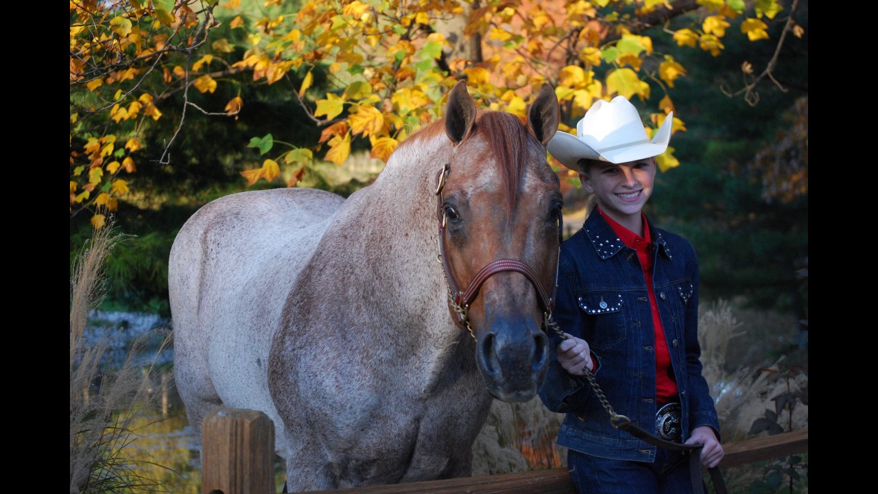 Zippos Mr Good Bar YouTube