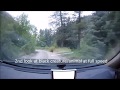 Black Creature/Animal Hides from RMSO in Sasquatch Canyon Black Creature/Animal Hides from RMSO in Sasquatch Canyon