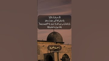 سورة التوبة الآية ١٦ و ١٧ بصوت الشيخ محمد صديق المنشاوي
