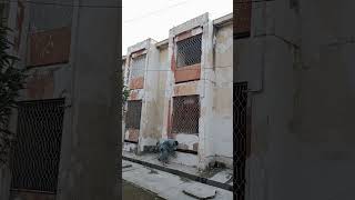 1985 Ke Baad Pehli Martaba DHO Office Repair Work 🔧 #dho #office #work #atd #health #maintenance