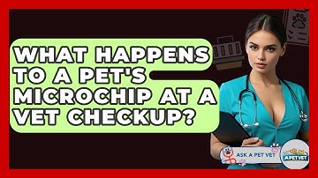 What Happens To A Pet