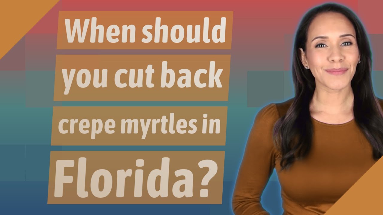 When should you cut back crepe myrtles in Florida?