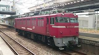 2024年6月21日、JR鹿児島本線黒崎駅を通過する下り1091レ(沼津→福岡タ)牽引機関車∶ED76-1019(門)単機