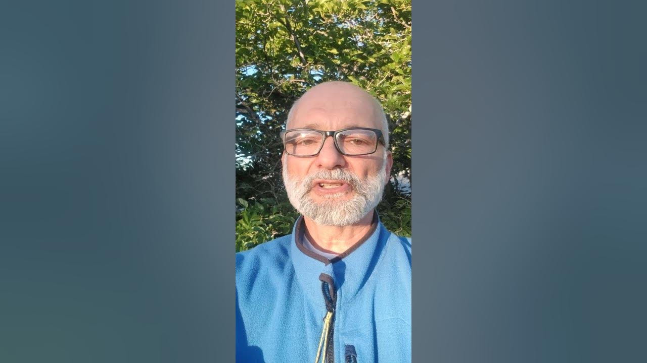 Fly On The Wall Meaning shorts YouTube fly-on-the-wall-meaning-shorts-youtube