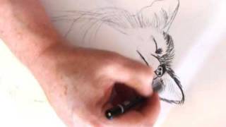 Terri's Rehab.wmv Net Worth