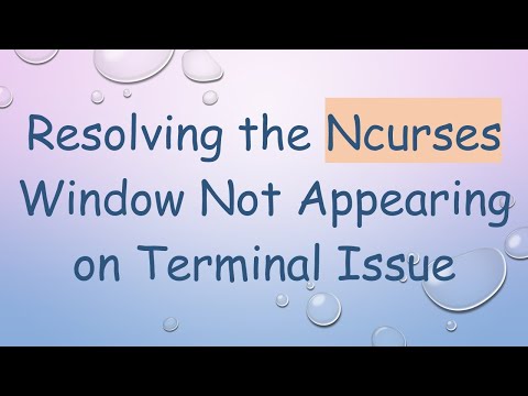 Resolving the Ncurses Window Not Appearing on Terminal Issue