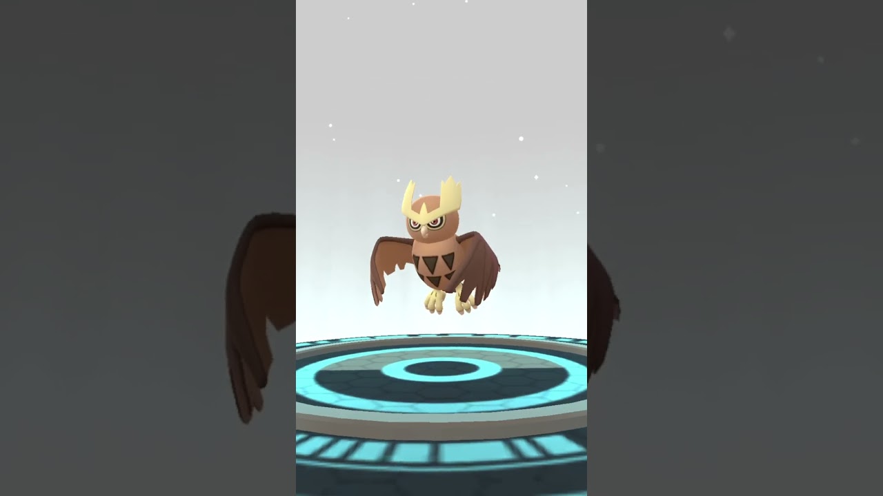 [Pokemon GO] Evolving OG Hoothoot into OG Noctowl! 