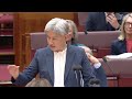 Pauline Hanson is censured by Senate over burqa stunt
