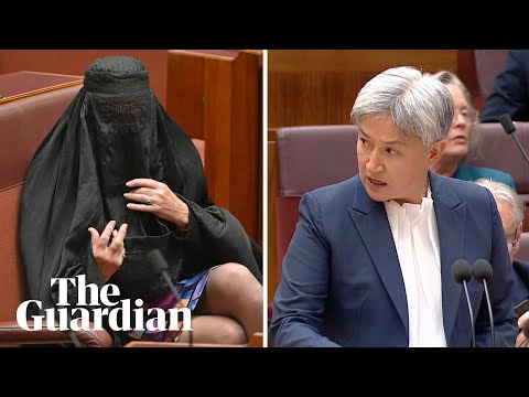Pauline Hanson's Revenge On Steinback?