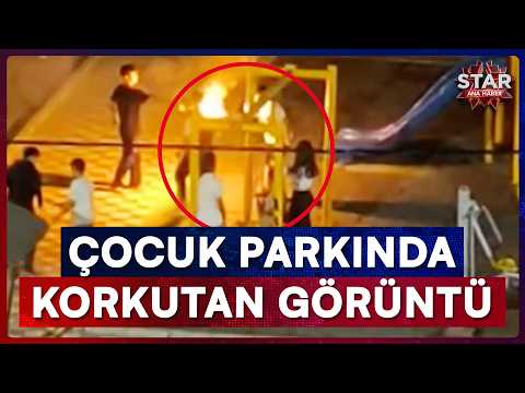 Terrifying Moments at the Playground Caught on Camera! | Star Main News