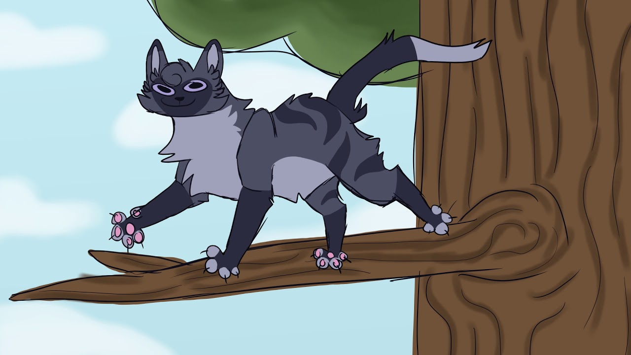 Cinderheart falls out of a tree