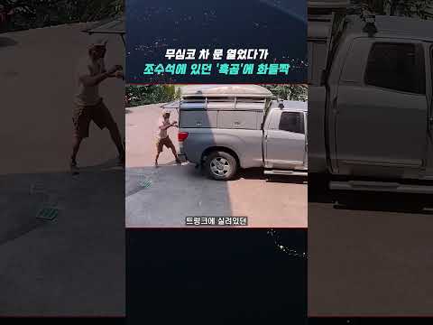 무심코 차 문 열었다가, 조수석에 있던 '흑곰'에 화들짝 thumbnail