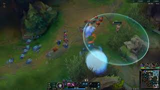 nunu wadbot