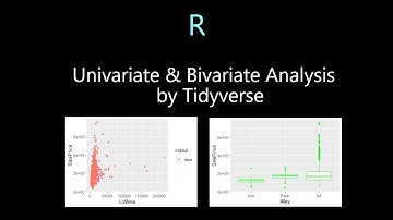 Univariate and Bivariate Analysis by ggplot2