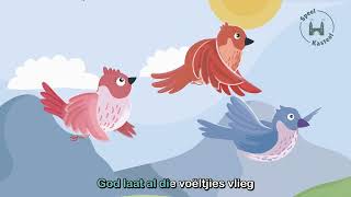 Afrikaanse Kinderliedjies Speelkasteel Langer Speel Mix