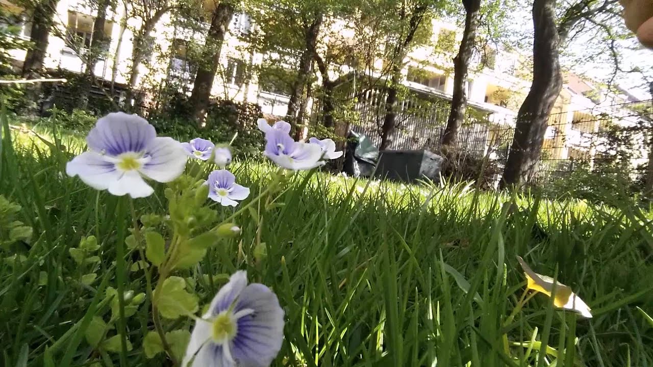 Samsung Galaxy S5 Front Camera Test [Full HD]