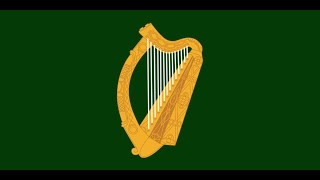 The Irish Built America