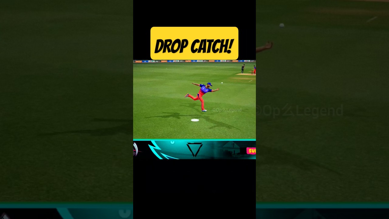 Drop Catch! 
