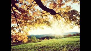 Ptaky - Zanim Przyjdę