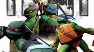 TURTLES/WINDOWS DOWN/2012!!!!
