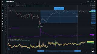 Bitcoin spada, ale Pro Alert zadziałał idealnie!