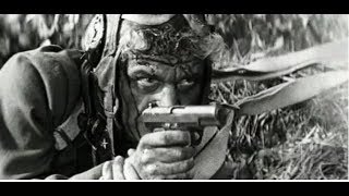 Пистолет ТТ охолощенный СХП модели ВПО-528 ограниченная серия Пистолет ТТ охолощенный СХП модели ВПО-528 ограниченная серия