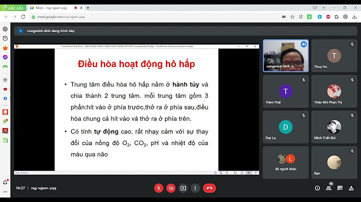 Áp suất trong đường dẫn khí của bộ máy hô hấp