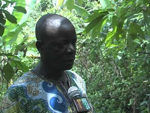ILLEGAL GOLD MINE IN ILESHA