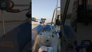 sky boat 440 rd tohatsu 50 mfs