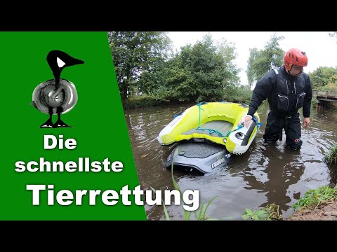 Die schnellste Tierrettung