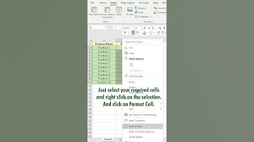 Custom Format Cell in Excel - Excel Tip #32 - #shorts